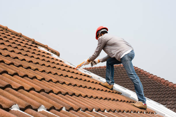 Best Roof Ventilation Installation  in Redwood, OR
